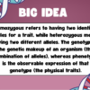 Genotypes and Phenotypes - Image 3